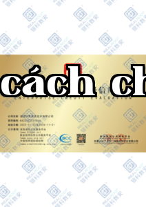 honors-A5_25